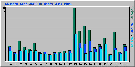 Stunden-Statistik im Monat Juni 2026