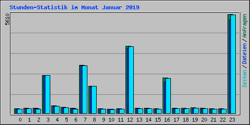 Stunden-Statistik im Monat Januar 2019