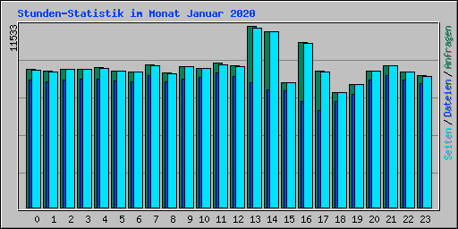 Stunden-Statistik im Monat Januar 2020