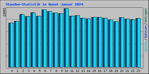 Stunden-Statistik im Monat Januar 2024