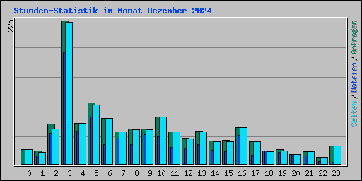 Stunden-Statistik im Monat Dezember 2024