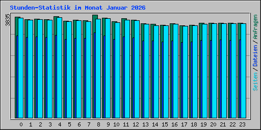 Stunden-Statistik im Monat Januar 2026
