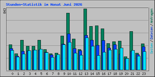 Stunden-Statistik im Monat Juni 2026